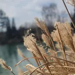 펜션 Haus Am - Der Idyllische Privatsee Nahe Wien *