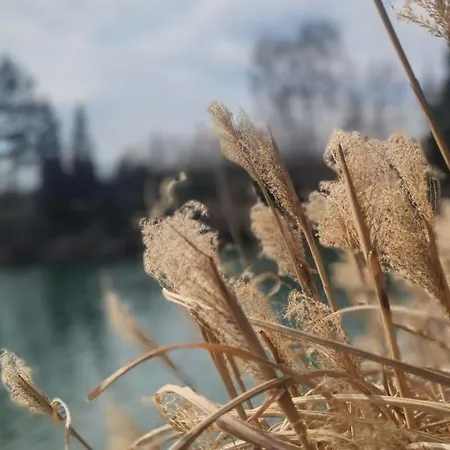 Semesterbostad Haus Am - Der Idyllische Privatsee Nahe Wien *