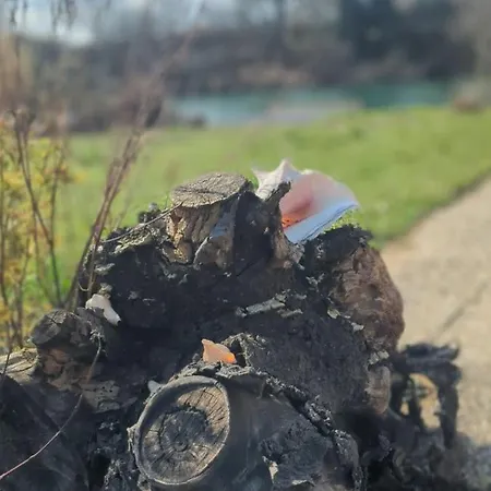 Das Haus Am See - Der Idyllische Privatsee Nahe Wien Prázdninový dům