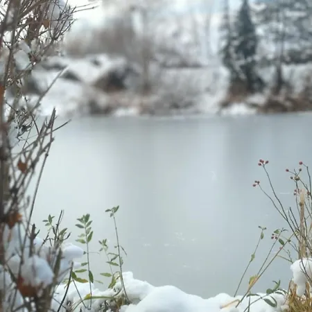Das Haus Am See - Der Idyllische Privatsee Nahe Wien Prázdninový dům Tulln An Der Donau